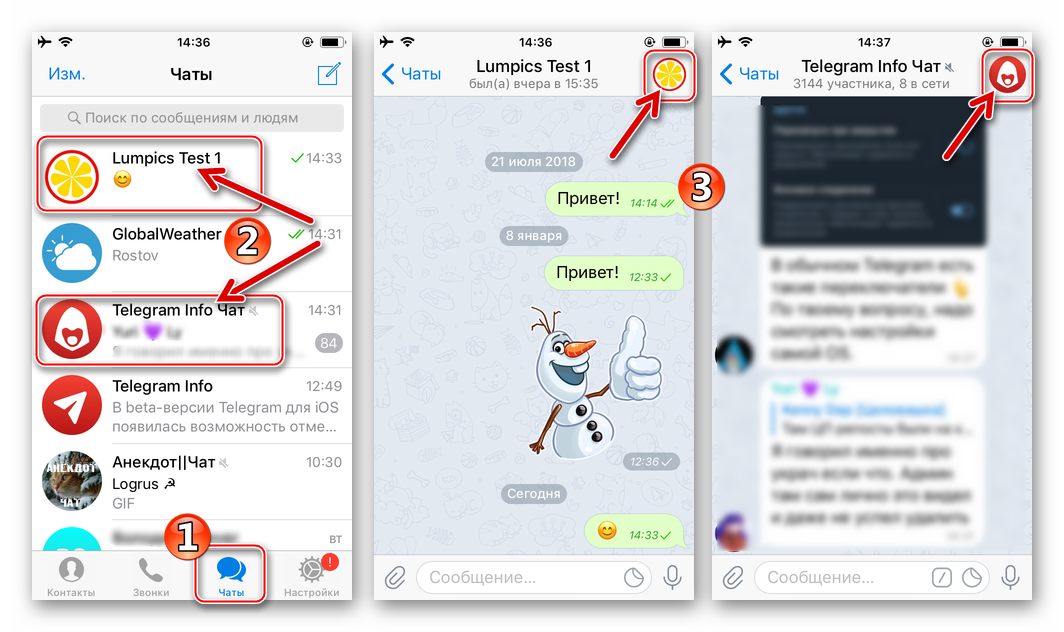 Telegram для iOS - переход к экрану Информация о пользователе, боте, группе, канале, публичном чате